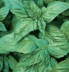 Screen Shot 2016-02-14 at 11.09.09 AM