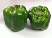 Screen Shot 2016-02-14 at 11.24.20 AM