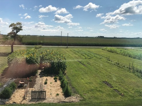 Birds Eye View 7.27.18